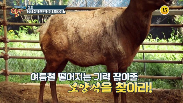 기력 & 면역력 채우는 색다른 보양식의 세계로~_알맹이 77회 예고