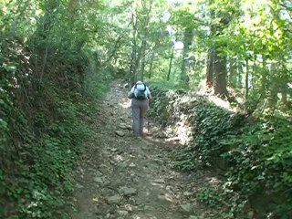 Autour de la Combe d'Enfer -Saint-Romain-en-Gier 69700