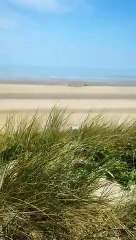 Neutralisation d'une munition de la Seconde Guerre mondiale par les plongeurs de la Marine nationale