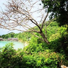 Bawah Island 2 | Anthony S Casey Singapore