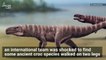 Ancient Crocodiles Walked on Two Legs, Fossil Footprints Reveal