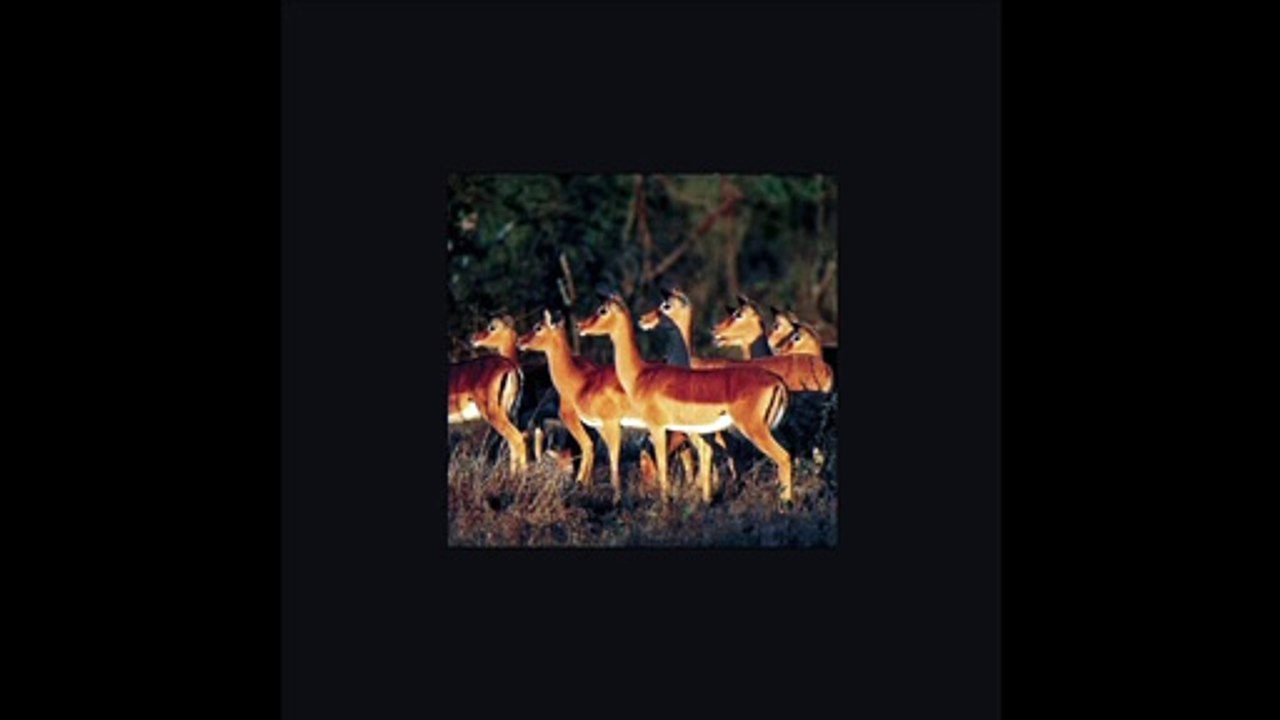 Afrique australe | EMOTIONS, les plus beaux voyages du monde by Julien Majorel (photo slideshow)