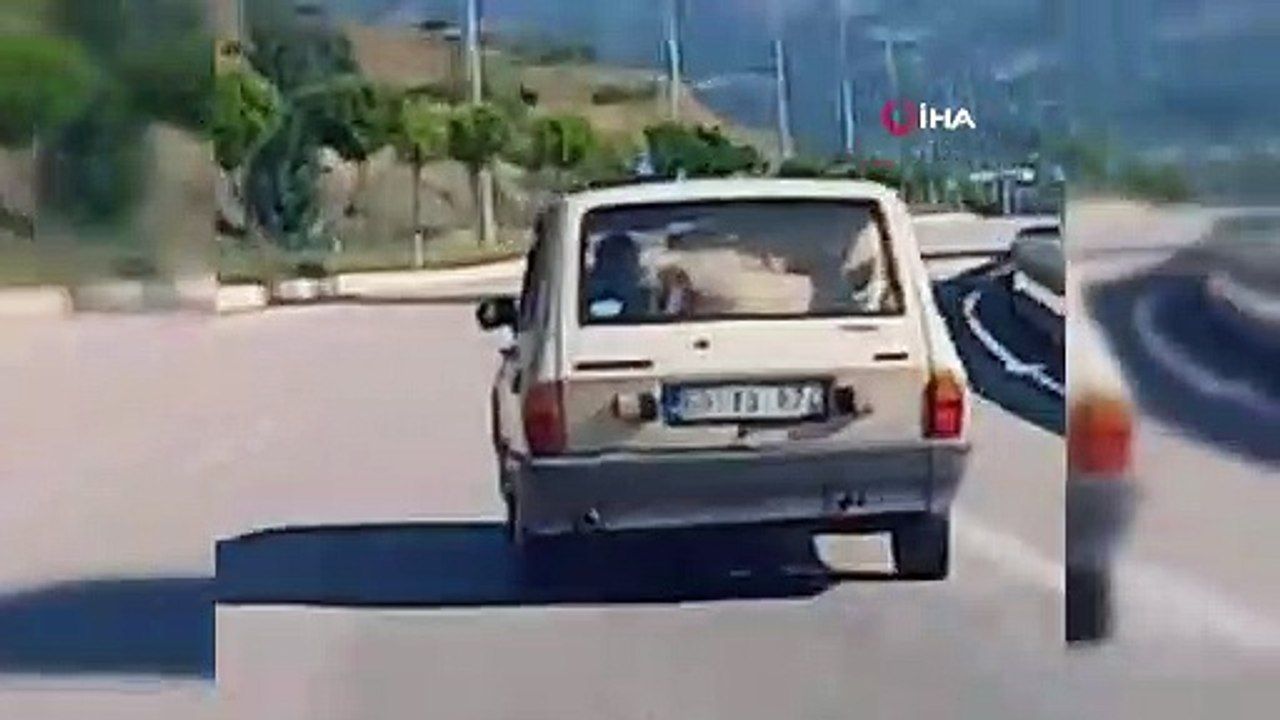 BAGAJDAKİ KOÇ