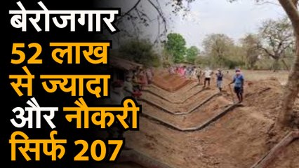 बेरोजगार 52 लाख से ज्यादा और नौकरी सिर्फ 207