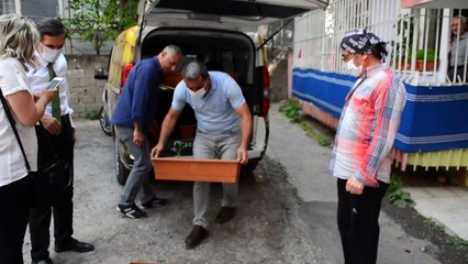 Büyükler sebzelerini kendileri yetiştirecek - MALATYA