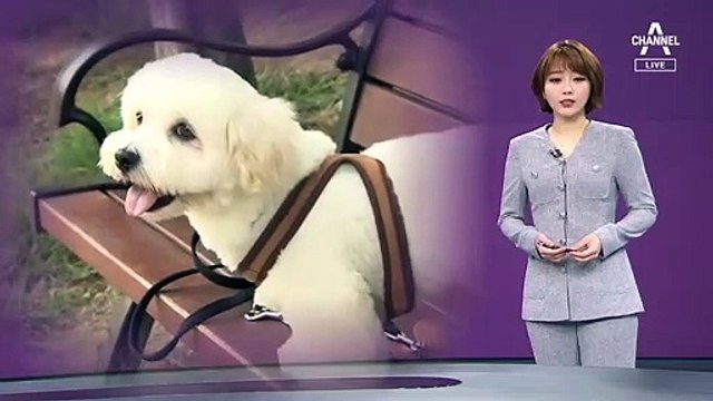 [뉴스A 클로징]“외로워서” 반려동물 키우는 코로나 시대