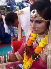 Fun and entertainment comedy video