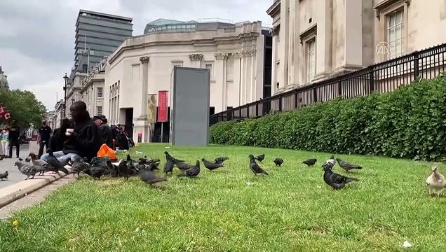 İngiltere'de tahrip edilir korkusuyla bazı heykeller koruma altına alınıyor - LONDRA