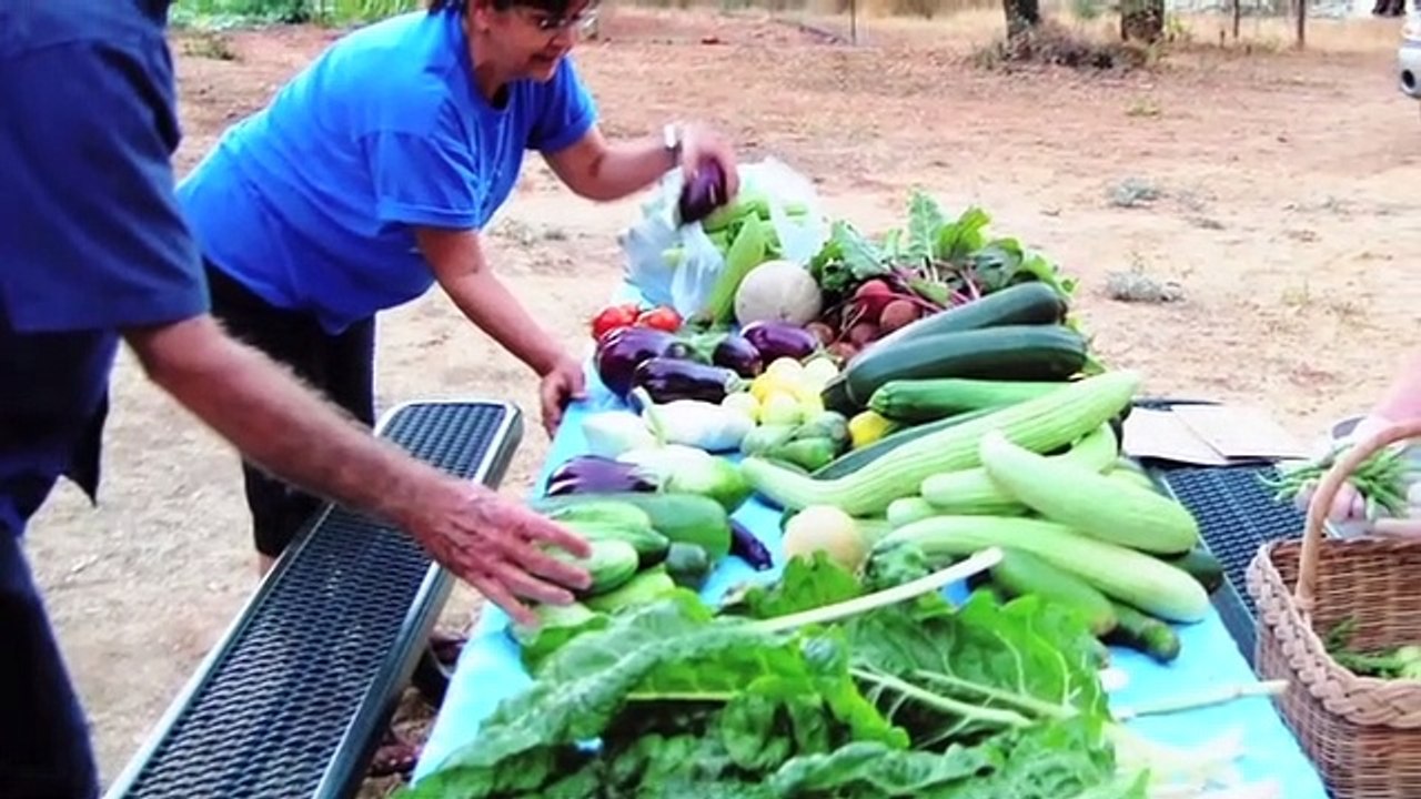 Organic Gardening - Learn how to grow healing food - Lynn Hoag