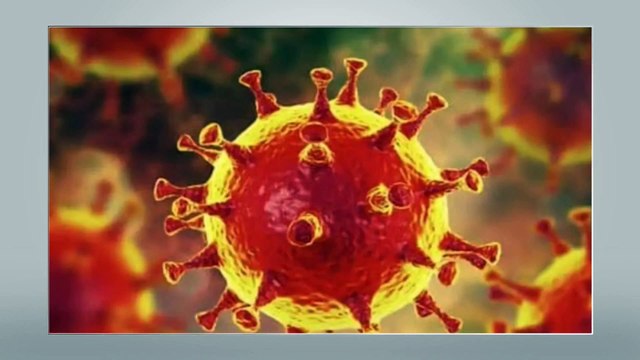 बस जुलाई कोरोना वैक्सीन होगी सबके लिए | जुलाई में मिल सकती है गुड न्यूज | corona vaccine