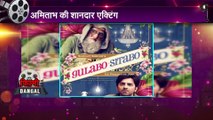 movie Gulabo Sitabo movie Review in Hindi