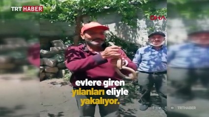 Mahallenin yılan avcısı