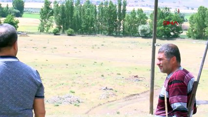 Çorum'da aslan heyecanı sürüyor! Jandarma ve avcılar iz sürecek