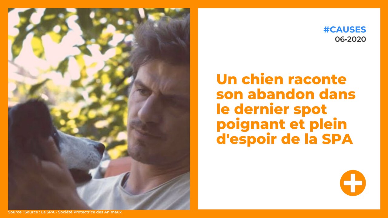 Un chien raconte son abandon dans le dernier spot poignant et plein d'espoir de la SPA