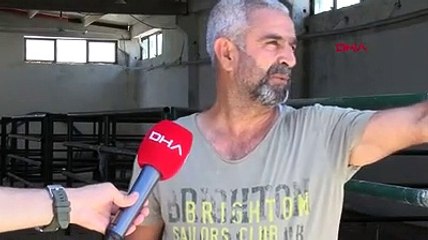 Hırsızlar, koyunları çalabilmek için 8 köpeği zehirleyerek öldürdü