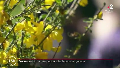 Vacances : de belles balades à découvrir dans les monts du Lyonnais