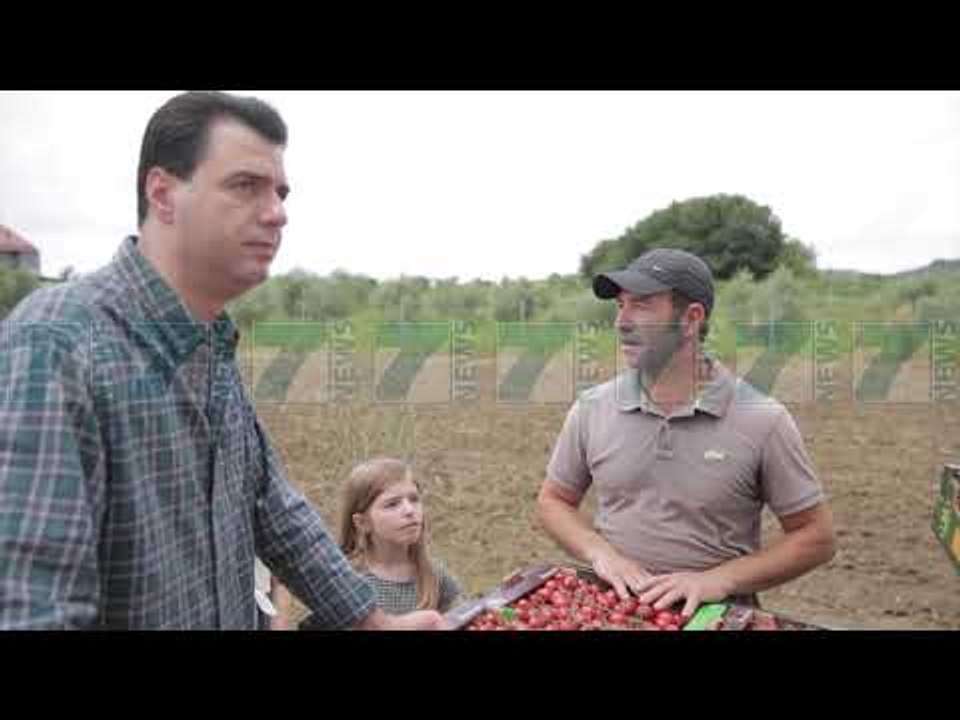 BASHA TAKON FERMERET NE BERAT, QEVERIA S´KA MBESHTETUR BUJQESINE - News, Lajme - Kanali 7