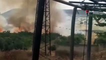 - Suriye’de Esad rejimi yüzlerce ağacı ateşe verdi