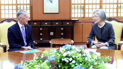 국제백신연구소장, 강경화 만나 "코로나 백신 적극 개발" / YTN