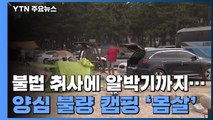 불법 취사에 알박기까지...양심 불량 캠핑 '몸살' / YTN