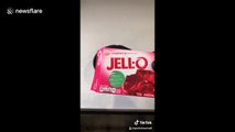 Thrifty US man shows his TikTok followers how to make DIY gummy bears
