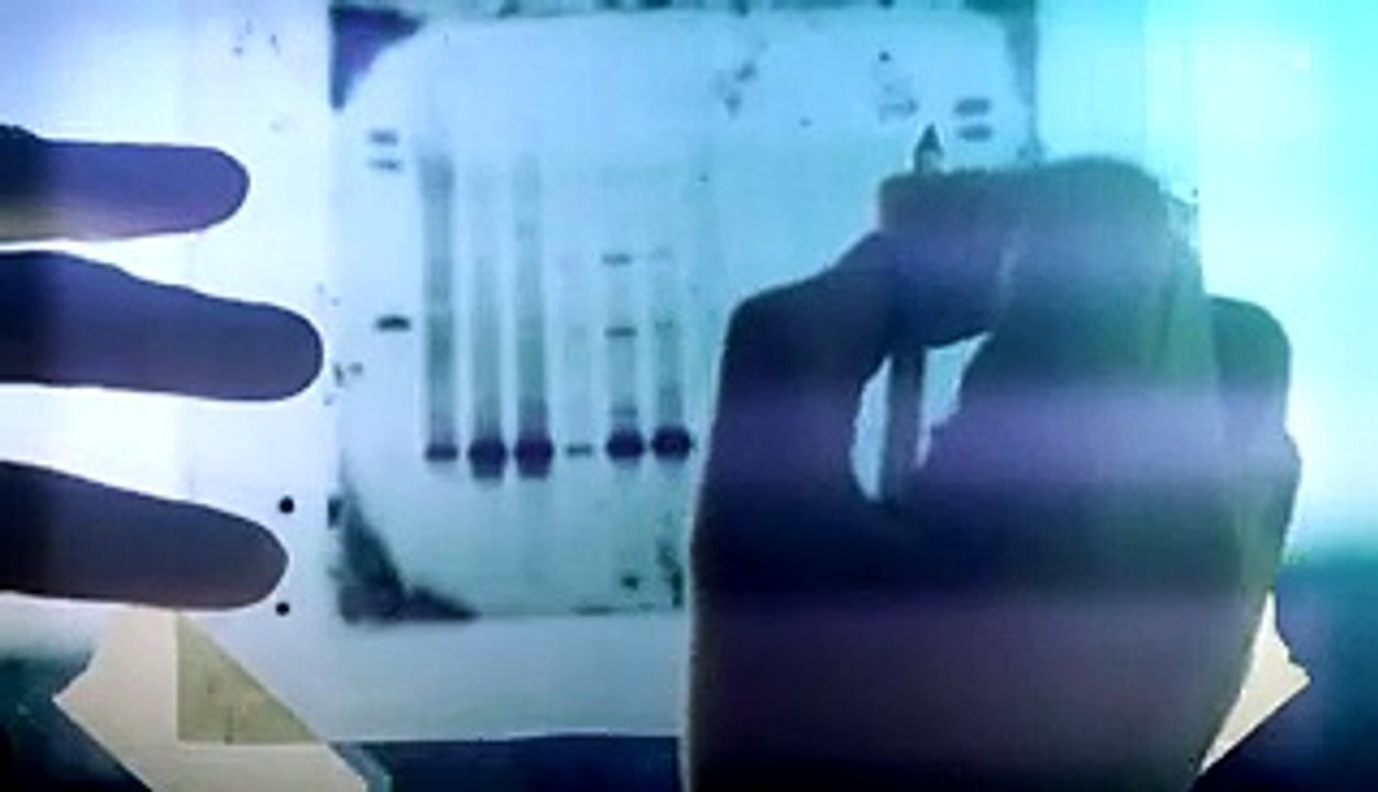 How we know the COVID-19 coronavirus wasn't made in a lab