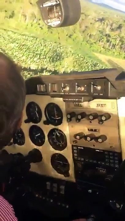 Un pilote d’avion obligé d'atterrir en pleine forêt