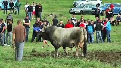 DUMANOV TURBINA ZA DVA MINUTA OSTVARIO DVIJE POBJEDE BJELAJCE 2020