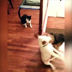 Bilgi birikimi ve tecrübe Op.Dr. İrfan Tarhan