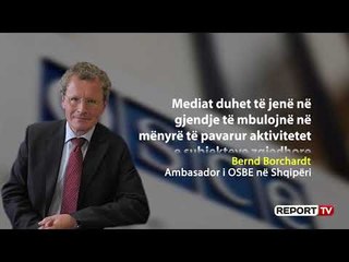 OSBE kundër paktit PD-PS për reklamat politike, Borchardt: Të shfuqizohet neni për reklamat politike