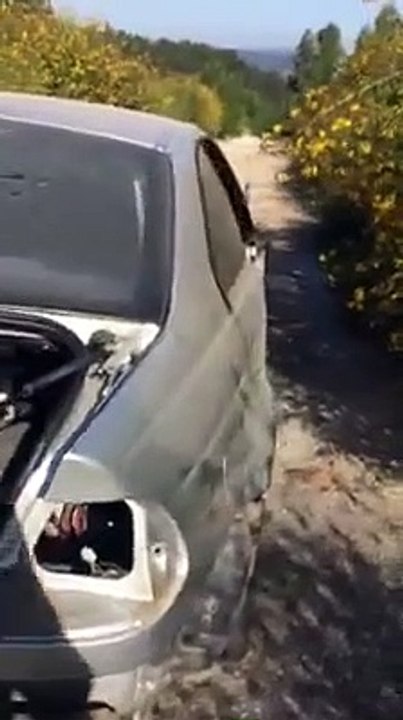 Corredor encontrou BMW M3 desmantelado no meio do monte em Guimarães