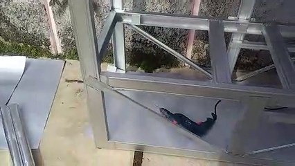 Cara Membuat Gerobak Rombong Dorong dari Baja Ringan