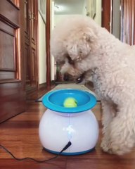 Nice idea to play and have fun