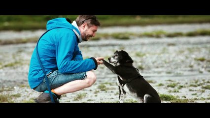 CODY WIE EIN HUND DIE WELT VERÄNDERT Film