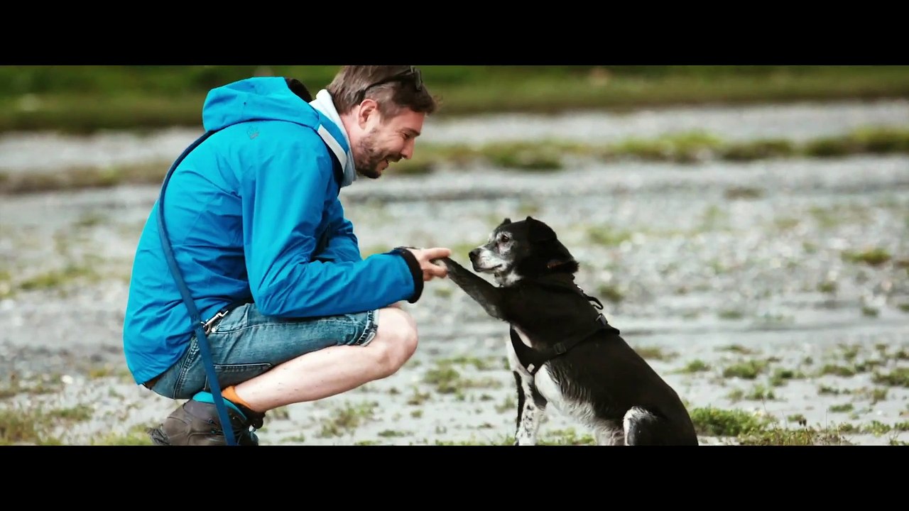 CODY WIE EIN HUND DIE WELT VERÄNDERT Film