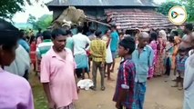 রাতের অন্ধকারে গরীব গৃ্হস্থের ঘরে হানা তিনটি হাতির,লকডাউনের জন্য সঞ্চিত ধান,চাল খেয়ে সাবাড়,ভাঙ্গল ঘরও।