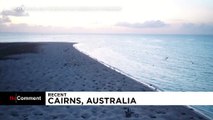 شاهد: أستراليا تلجأ إلى الطائرات المسيرة لحماية السلاحف من الانقراض