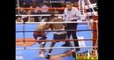 MANNY PACQUIAO FIGHTS HIGHLIGHTS 1995-2007
