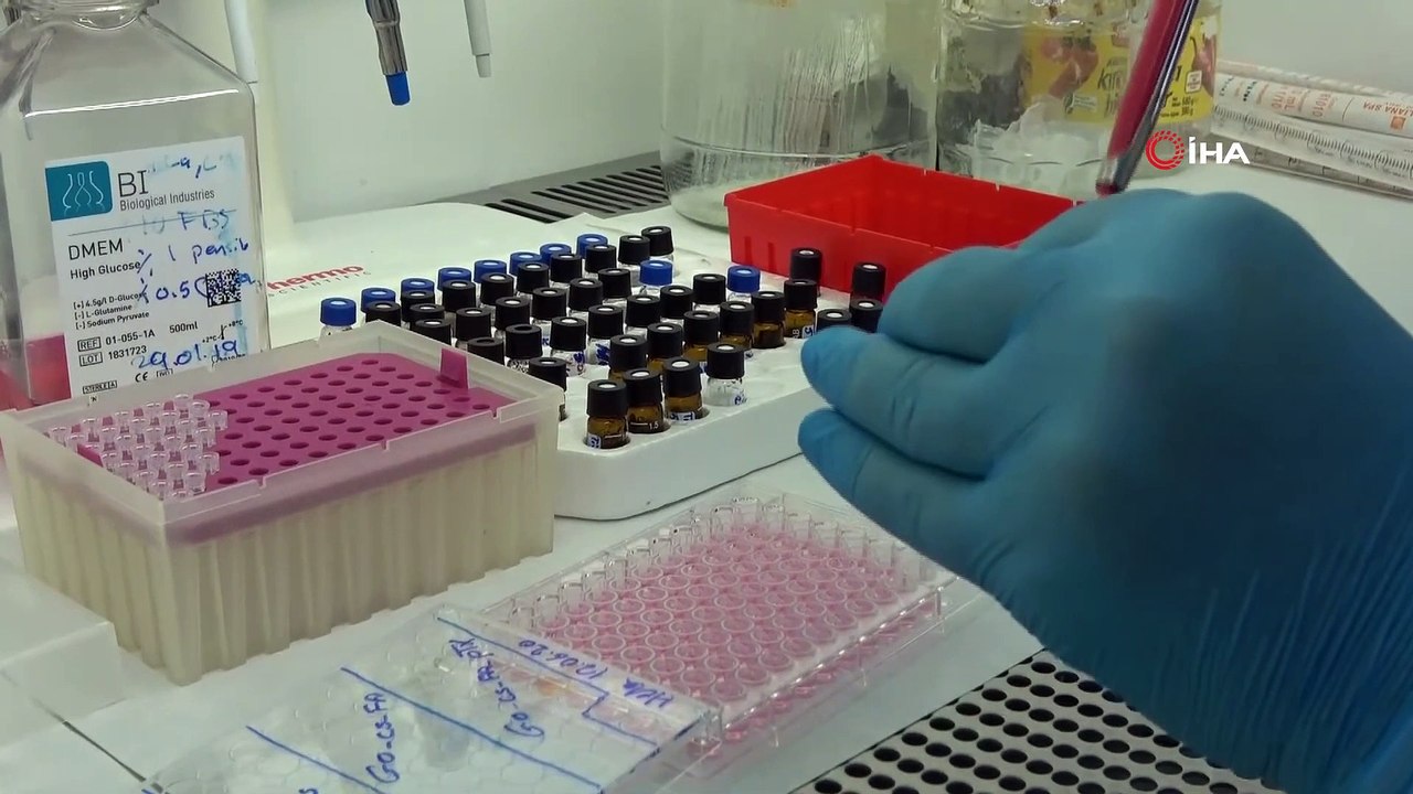 Kanser Tedavisinde Yapay Zeka Uygulaması, Türk Bilim Adamları Geliştirdi