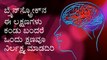 Brain Stroke- Causes, Symptoms & Prevention | Boldsky Kannada