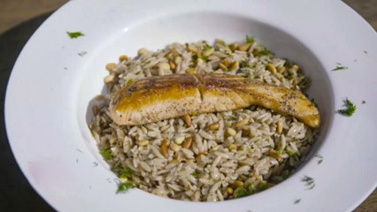 مع الشيف وردة.. وصفة معكرونة لسان العصفور مع فيليه السلمون