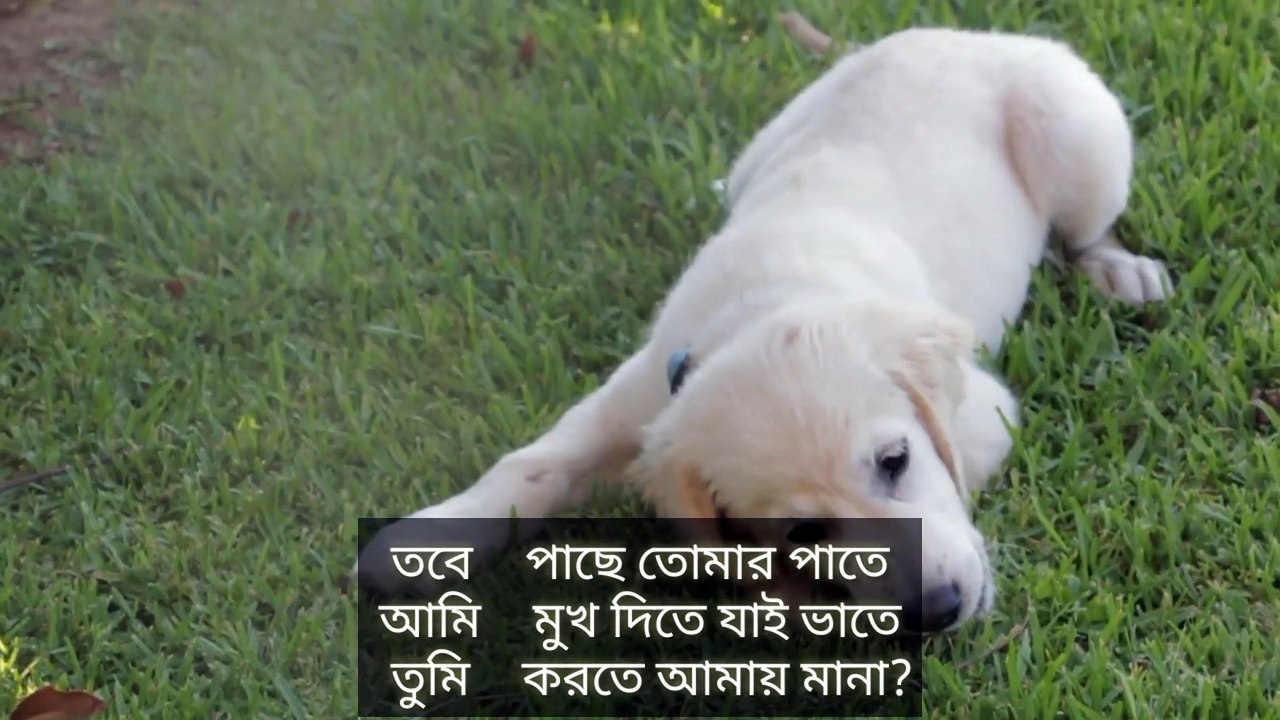 Somobyathi Kobita (সমব্যথী) | Bangla Kobita Abritti | Rabindranather Kobita | Rabindranath Thakur Kobita