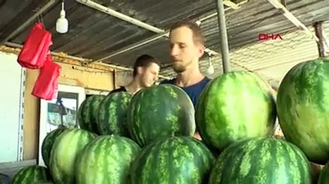 20 yıllık karpuzcu, iyi karpuz seçmenin püf noktalarını anlattı