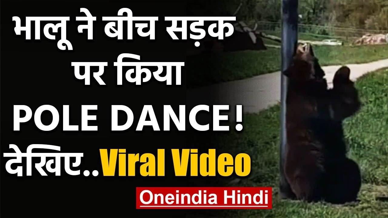 Viral Videos : भालू ने बीच सड़क पर कुछ यूं किया Pole Dance ! | वनइंडिया हिंदी