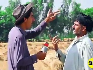 confused #interview ....#funny #pakistan