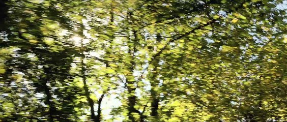 "LES PLUS BELLES ANNEES D'UNE VIE" de Claude Lelouch : bande annonce du film