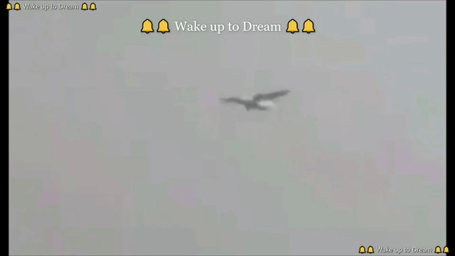 Pakistani Airbus A320 Crashed In Karachi || পাকিস্তানি যাত্রীবাহী বিমান করাচিতে বিধ্বস্ত হয়েছে || Deadly Passenger Plane Crash in Karachi, Pakistan