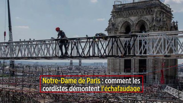 Notre-Dame de Paris : comment les cordistes démontent l'échafaudage