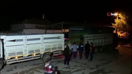 Konya'da 40 küçükbaş hayvanı çalan 7 şüpheli suçüstü yakalandı
