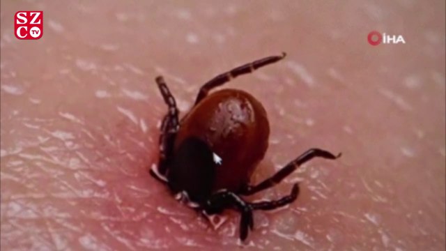 KKKA virüsünün ölüm riski, Covid-19’dan daha yüksek